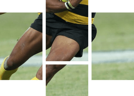 Fractured image - rugby (bottom)
