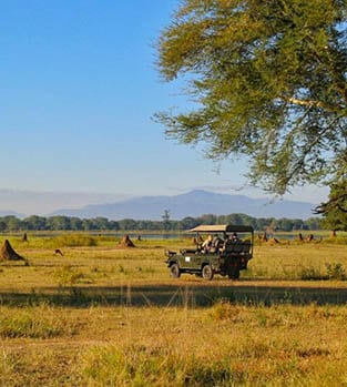 Game drive at Liwonde National Park