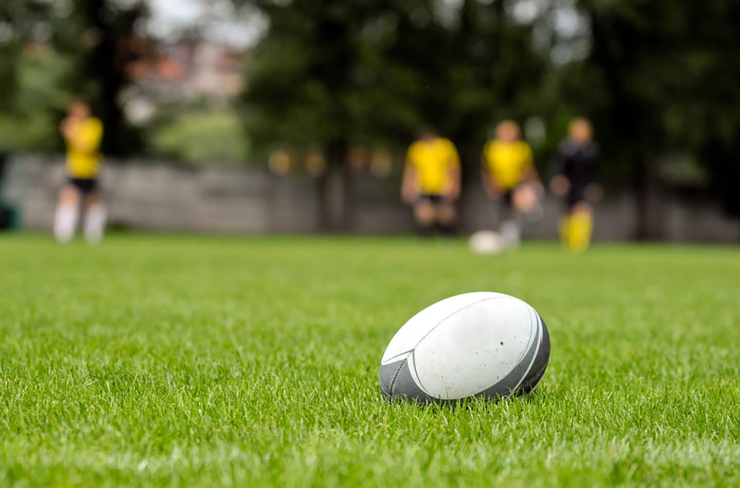 Rugby ball on the grass