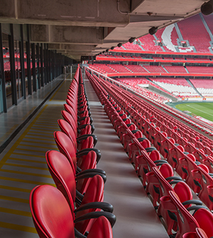 Estádio do Sport Lisboa e Benfica