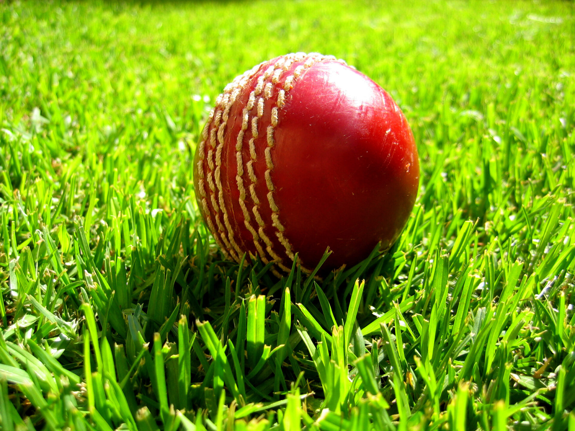 Red cricket ball in the grass