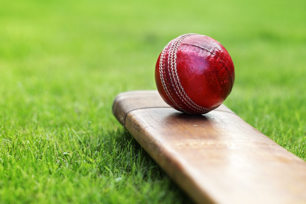 Cricket bat and ball lying on the green grass