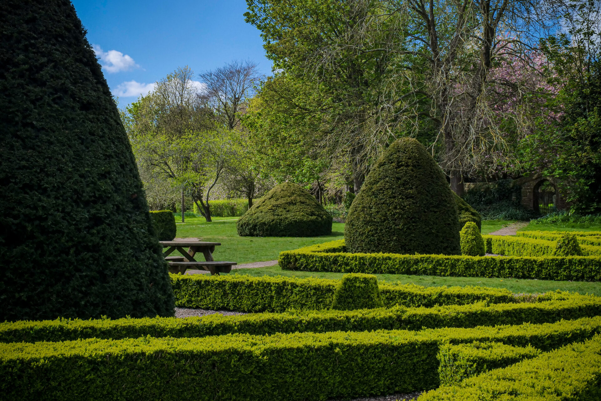 The lush green Condover Hall gardens