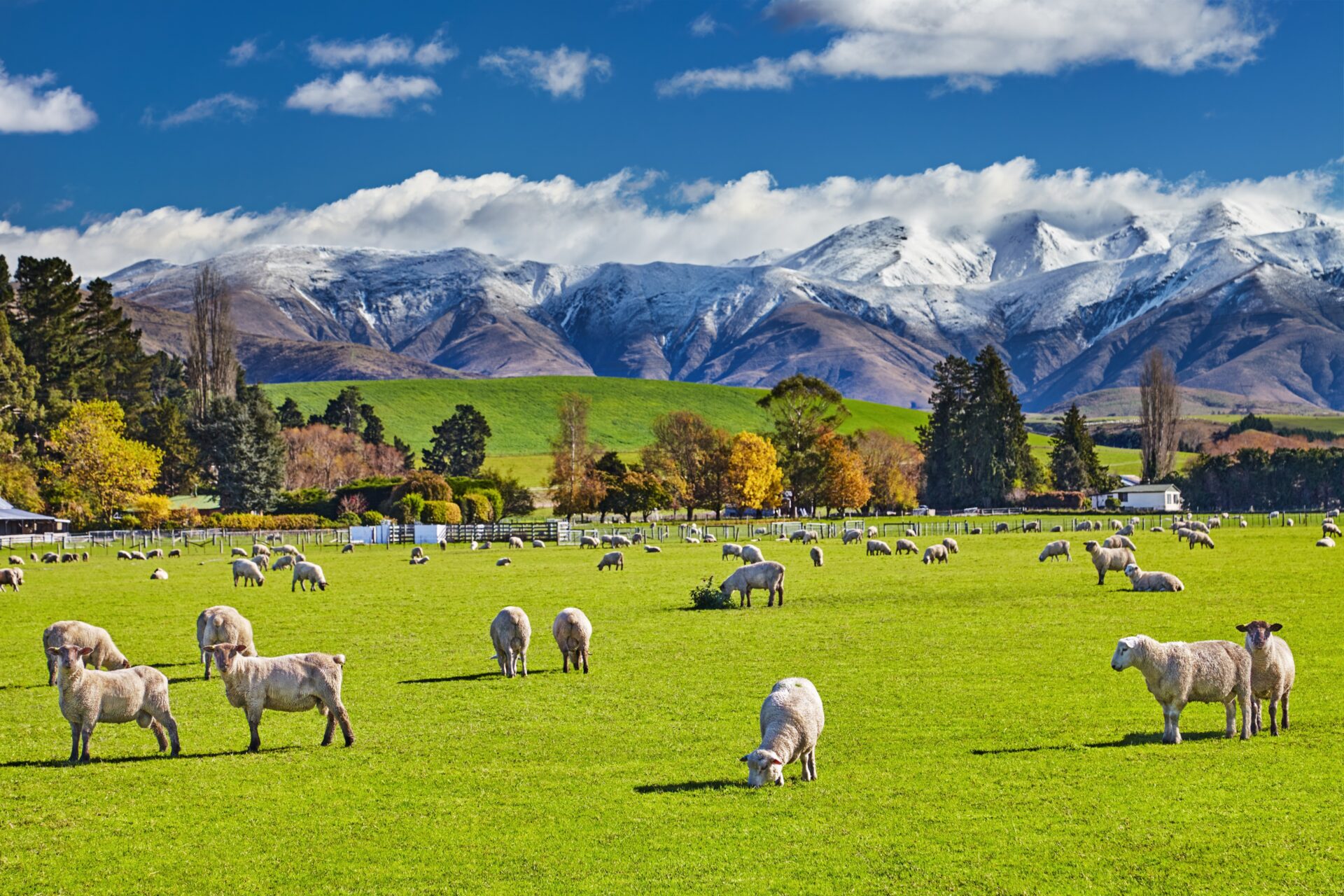 Post image for A multi-sports tour to New Zealand